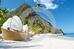 Sugar beach Saint Lucia ,white tropical beach palm trees and luxury beach chairs St Lucia Caribbean