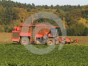 Sugar beet harvester