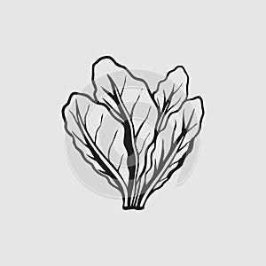 The sugar beet leaf illustration logo