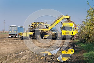 Sugar beet loading process