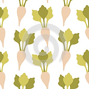Sugar beet pattern on white background. Seamless background from white beets.