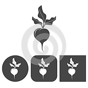 Sugar beet - vector icon