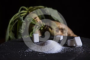 Sugar beet and white sugar with black background