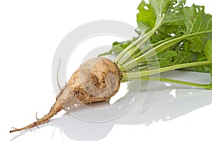 Sugar beet on a white surface