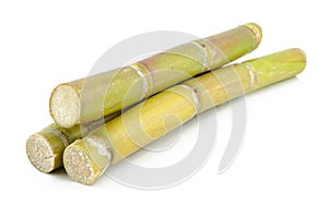 Sugar cane