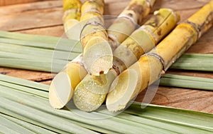 Sugar cane.