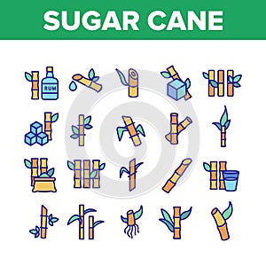 Sugar Cane Agriculture Collection Icons Set Vector
