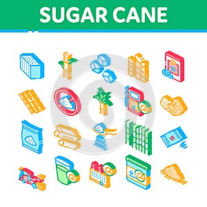 Sugar Cane Agriculture Isometric Icons Set Vector