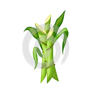 sugar cane cartoon vector illustration