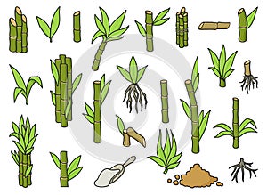 Sugar cane color vector illustration on white background.Sugarcane set icon.Vector illustration of sweet white sugar.Color cane