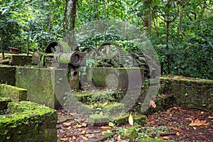 Sugar cane factory ruins near Cap Chevalier Beach - Martinique Excursions Ideas photo