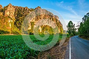 Sugar Cane Farm and Mountain Range