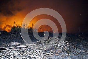 Sugar cane fire