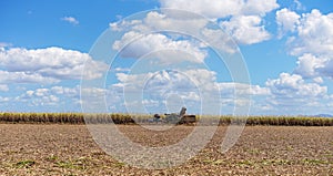 Sugar Cane Harvesting During Crushing Season In Australia