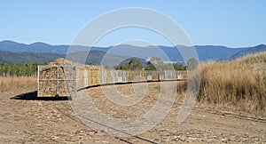 Sugar cane harvesting in Queensland