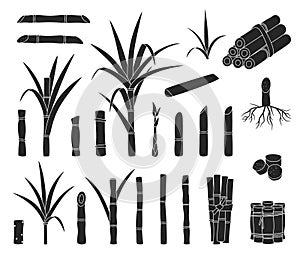 Sugar cane isolated black set icon. Vector black set icon sugarcane. Vector illustration sugar cane on white background
