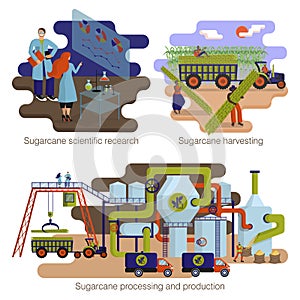 Sugar cane manufacturing. Process and production stages. Icon set