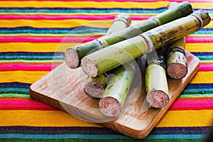 Sugar cane from mexico, mexican sugar fruit