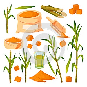 Sugar cane plant and leaves vector illustration. Brown sugar in sack, bowl, spoon. Hand drawn isolated design elements