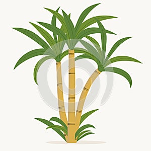 Sugar cane. Cane plant, sugarcane harvest stalk, plant and leaves, sugar ingredient stem. Vector photo