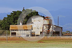 Sugar Cane Plantation Shed