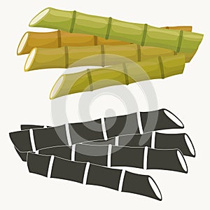 Sugar cane set. Cane plant, sugarcane harvest stalk, plant and leaves, sugar ingredient stem. Vector