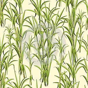 Sugar Cane Exotic Plant Seamless Pattern Vector Design