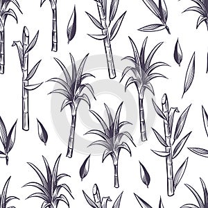 Sugar cane stalks with leaves, sugarcane plant vector seamless pattern