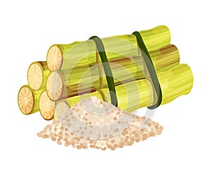 Sugar Cane Strong Unbranched Stems Cut and Corded with Pile of Refined Sugar Rested Nearby Vector Illustration photo