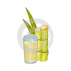 Sugar Cane Strong Unbranched Stems with Sugar Juice Poured in Glass Vector Illustration photo