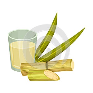 Sugar Cane Strong Unbranched Stems with Sugar Juice Poured in Glass Vector Illustration photo