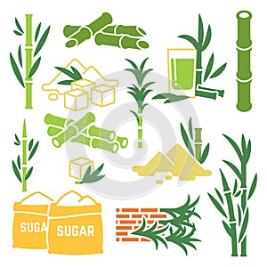 Sugar cane, sugarcane plant harvest vector icons isolated on white background