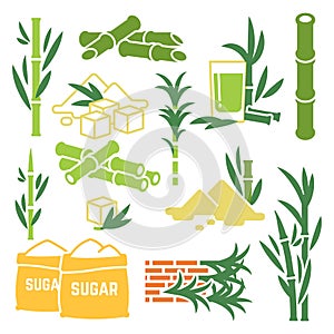 Sugar cane, sugarcane plant harvest vector icons isolated on white background photo