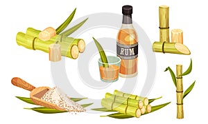 Sugar Cane Unbranched Stems with Leaves and Superfood like Brown Granulated Sugar Vector Set