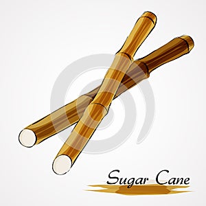 Sugar canes