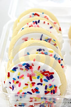 Sugar Cookie with White Icing