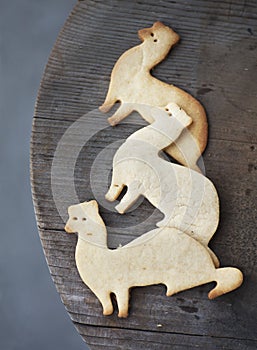 Sugar cookies shaped as ferrets on wooden table