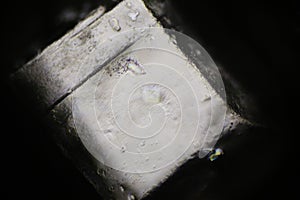 Sugar crystal under polarized light microscope