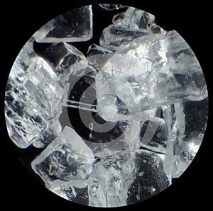 Sugar crystals in microscope