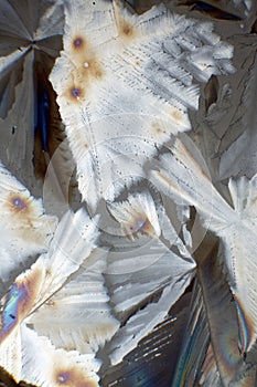 Sugar crystals
