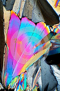 Sugar crystals in polarized light
