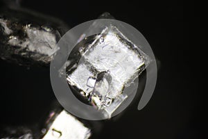 Sugar crystals under polarized light microscope