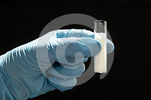 Sugar in a glass test tube in the hands of a doctor in medical gloves on a black background