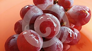 Sugar Grape colour red