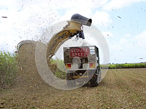 Sugar Industry Sugarcane Harvest Scene in Ingham Queensland Australia