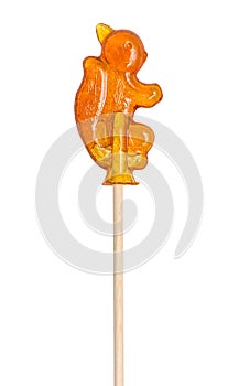 Sugar lollipop made in the shape of squirrel on a wooden stick