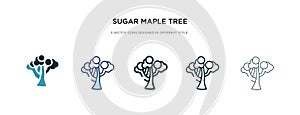 Sugar maple tree icon in different style vector illustration. two colored and black sugar maple tree vector icons designed in