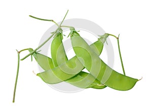 Sugar pea pods