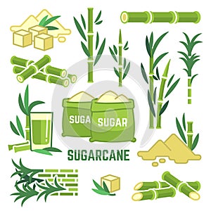 Sugar plant agricultural crops, cane leaf, sugarcane juice vector icons photo