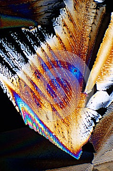 Sugar in polarized light